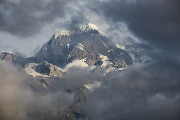 Neuseeland, Südinsel, Westland National Park, Mount Tasman - MRF01796