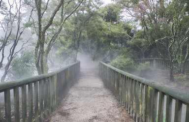 New Zealand, North Island, Rotorua, path through geothermal area - MRF01806