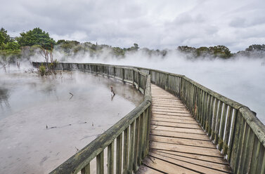 Neuseeland, Nordinsel, Rotorua, Boardwalk durch geothermisches Gebiet - MRF01808