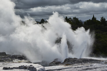 Neuseeland, Nordinsel, Wai-O-Tapu, Pohutu Geysir - MRF01813