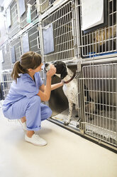 Vet putting dog in kennel - CAIF01711