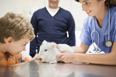 Tierarzt und Besitzer untersuchen Kaninchen in der Tierarztpraxis - CAIF01731