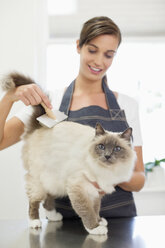 Hundefrisör bei der Arbeit mit der Katze im Büro - CAIF01739