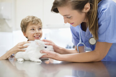 Tierarzt untersucht Kaninchen mit Jungen - CAIF01740