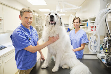 Veterinarian s examining dog in vet’s surgery - CAIF01745