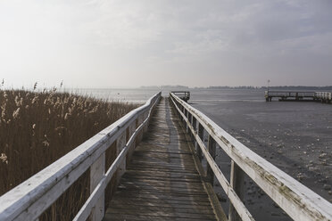 Germany, Mecklenburg-Western Pomerania, Wieck, wooden boardwalk in winter, frozen bodden - ASCF00827