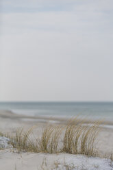 Germany, Mecklenburg-Western Pomerania, Darss, Baltic Sea, West beach, dune - ASCF00830