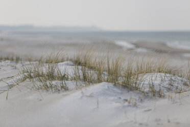 Deutschland, Mecklenburg-Vorpommern, Darss, Ostsee, Weststrand, Düne - ASCF00831