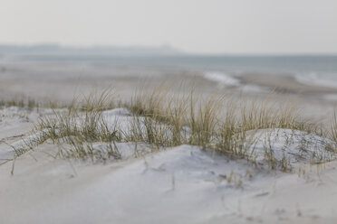 Germany, Mecklenburg-Western Pomerania, Darss, Baltic Sea, West beach, dune - ASCF00831