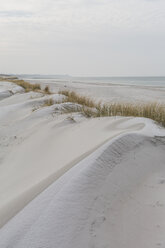 Deutschland, Mecklenburg-Vorpommern, Darss, Ostsee, Weststrand, Düne - ASCF00833