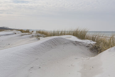 Germany, Mecklenburg-Western Pomerania, Darss, Baltic Sea, West beach, dune - ASCF00834