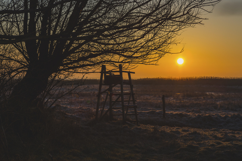 Deutschland, Mecklenburg-Vorpommern, Darss, Hochsitz bei Sonnenaufgang, lizenzfreies Stockfoto