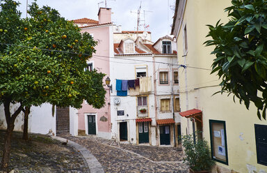 Portugal, Lisbon, Alfama, houses and orange tree - MRF01858