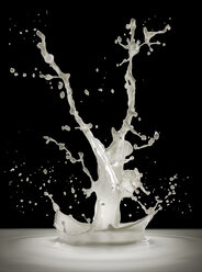 Milk splashing - CAIF02065