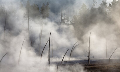 Steam rising from hot spring - CAIF02110