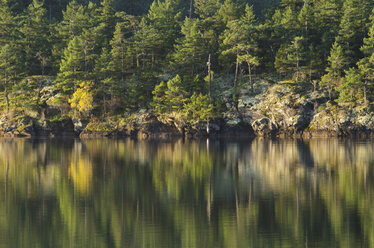 Ländliche Landschaft spiegelt sich in einem stillen See - CAIF02147