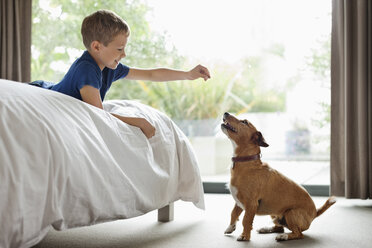 Junge gibt Hund Leckerli im Schlafzimmer - CAIF02216