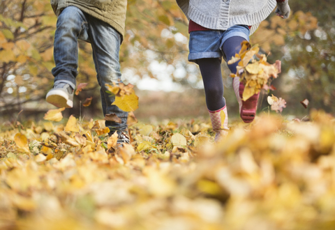 Children walking in autumn leaves stock photo