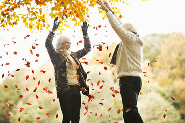 Älteres Paar spielt im Herbstlaub - CAIF02383
