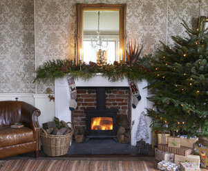 Weihnachtsbaum und Kamin im Wohnzimmer - CAIF02436