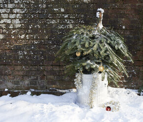 Weihnachtsbaum im Mülleimer im Freien - CAIF02437