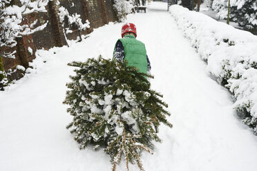 Junge schleppt Weihnachtsbaum die Straße hinunter - CAIF02451