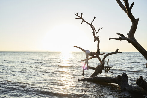 Junge Frau übt Yoga auf einem umgestürzten Baum im Meer bei Sonnenuntergang - IGGF00444