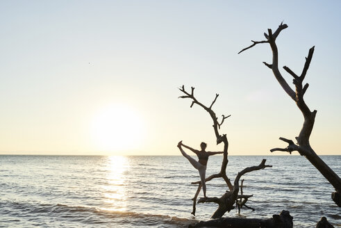 Junge Frau übt Yoga auf einem umgestürzten Baum im Meer bei Sonnenuntergang - IGGF00445