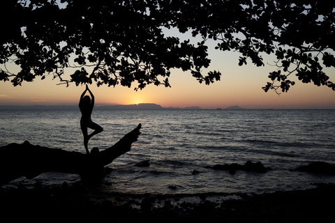 Young woman practicing yoga on a fallen tree in the sea at sunset stock photo