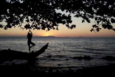 Junge Frau übt Yoga auf einem umgestürzten Baum im Meer bei Sonnenuntergang - IGGF00447