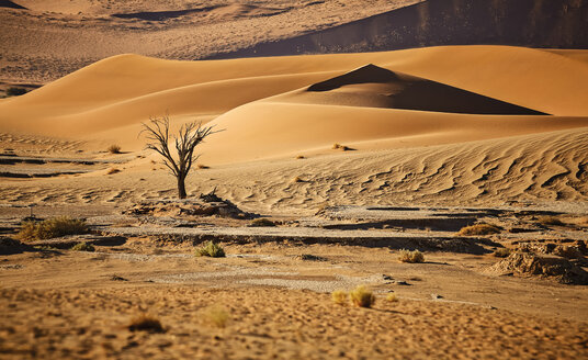 Afrika, Namibia, Namib-Naukluft-Nationalpark, Namib-Wüste, - CVF00200