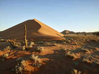 Afrika, Namibia, Namib-Naukluft-Nationalpark, Namib-Wüste, Wüstendünen - CVF00203