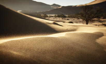 Afrika, Namibia, Namib-Naukluft-Nationalpark, Namib-Wüste, Wüstendünen, Sandverwehung - CVF00205