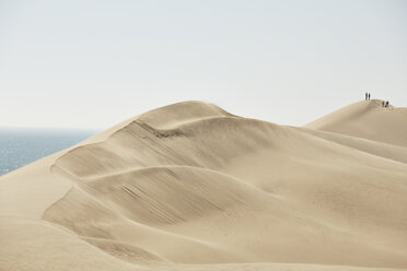 Africa, Namibia, Namib-Naukluft National Park, Namib desert, desert dunes and atlantic - CVF00209