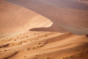 Afrika, Namibia, Namib-Naukluft-Nationalpark, Namib-Wüste, Wüstendünen - CVF00212