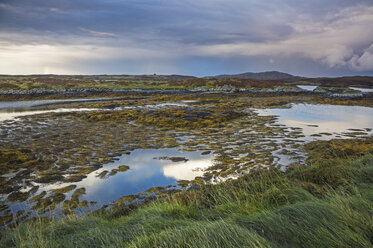 Ruhiger Seeblick, Loch Euphoirt, North Uist, Äußere Hebriden - CAIF04140