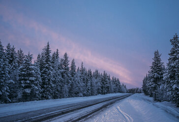 Abgelegene Winterstraße durch schneebedeckte Wälder, Lappland, Finnland - CAIF04149