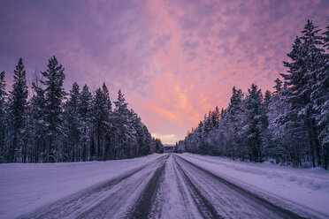 Remote winter road through snow covered forest trees against dramatic purple and pink sky, Lapland, Finland - CAIF04152