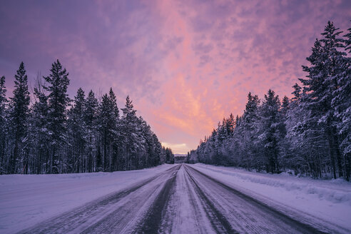Abgelegene Winterstraße durch schneebedeckte Waldbäume vor dramatischem lila und rosa Himmel, Lappland, Finnland - CAIF04152