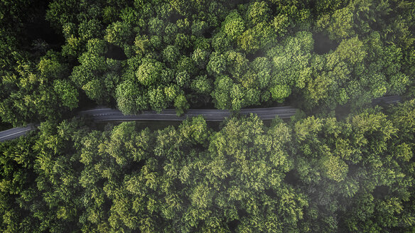 Overhead aerial view of road between green trees, Naestved, Denmark - CAIF04157