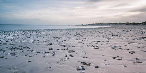 Felsen am ruhigen grauen Strand, Vigsoe, Dänemark - CAIF04161