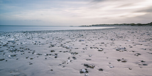 Rocks on tranquil gray beach, Vigsoe, Denmark - CAIF04161