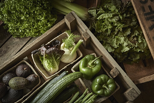 Stillleben frische, biologische, grüne, gesunde Gemüsesorten in Holzkiste - CAIF04180