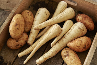 Stilleben frisch, bio, gesund, rustikal, schmutzig Pastinaken und Kartoffeln in Holzkiste - CAIF04187