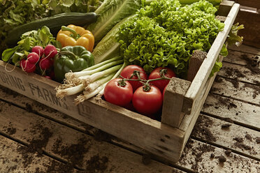 Still life fresh, organic, healthy vegetable harvest variety in wood crate - CAIF04188