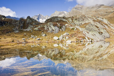 Österreich, Tirol, Stubaital, Hohes Moos im Morgenlicht - CVF00228