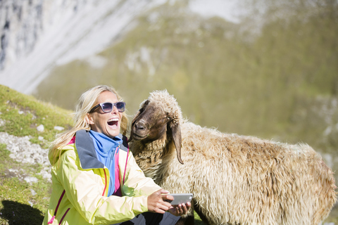 Wanderer mit Schaf, Selfie, lachend, lizenzfreies Stockfoto