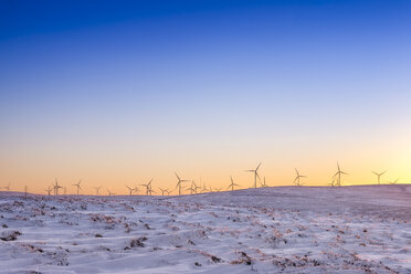 Großbritannien, Schottland, East Lothian, Lammermuir HIlls, Windpark im Winter bei Sonnenuntergang - SMAF00963