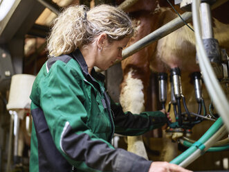 Bäuerin im Stall beim Melken einer Kuh - CVF00252