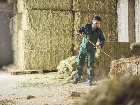 Farmer working with straw on a farm stock photo
